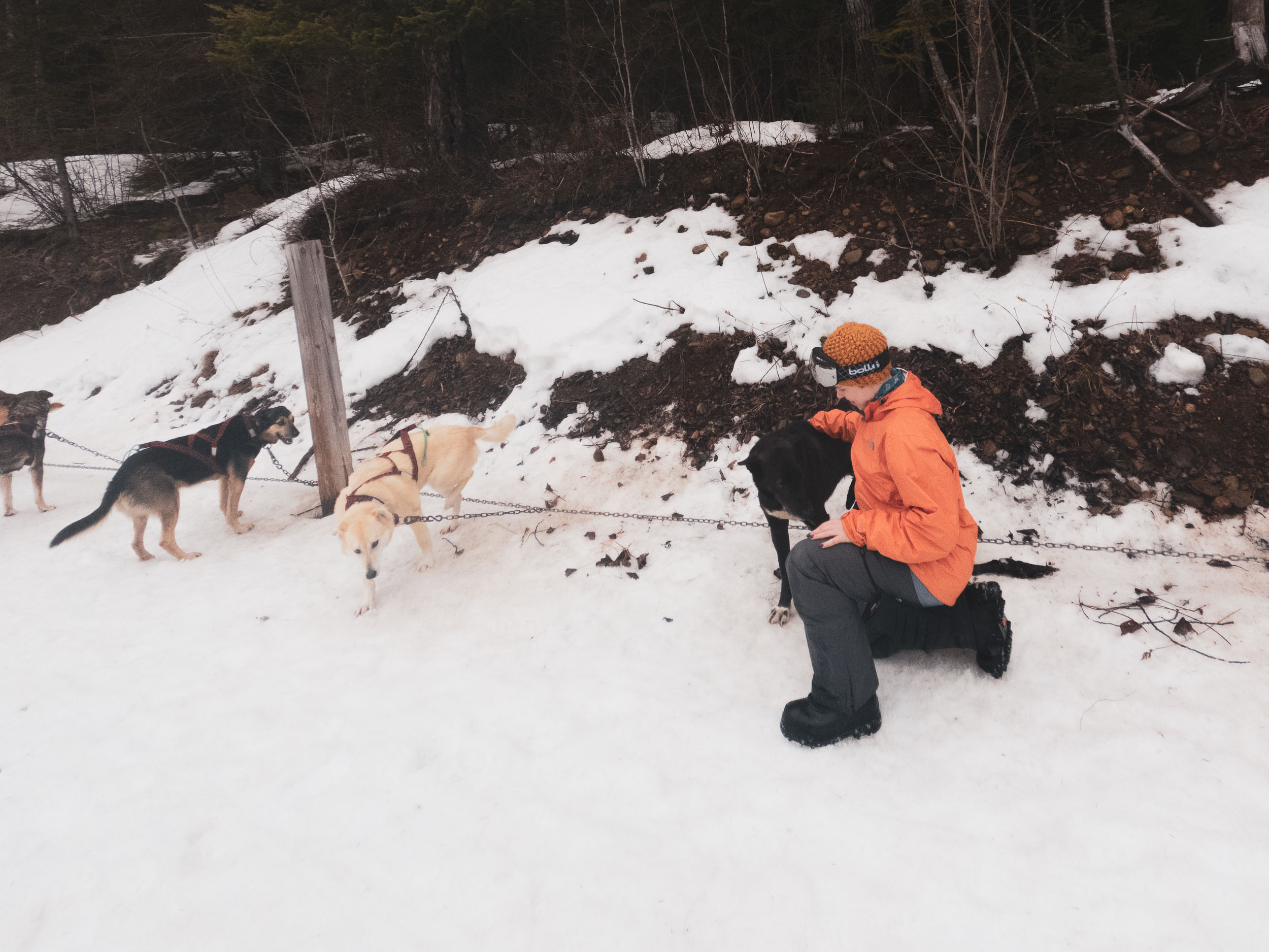 Learning to&nbspMush