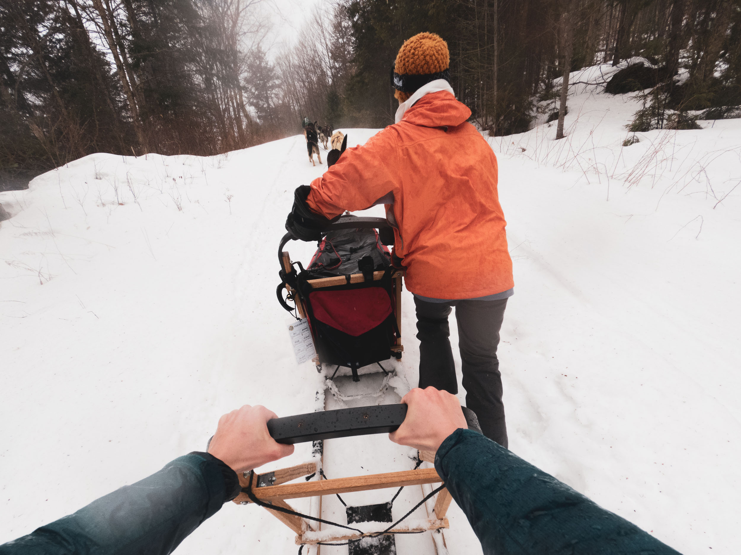 Learning to&nbspMush