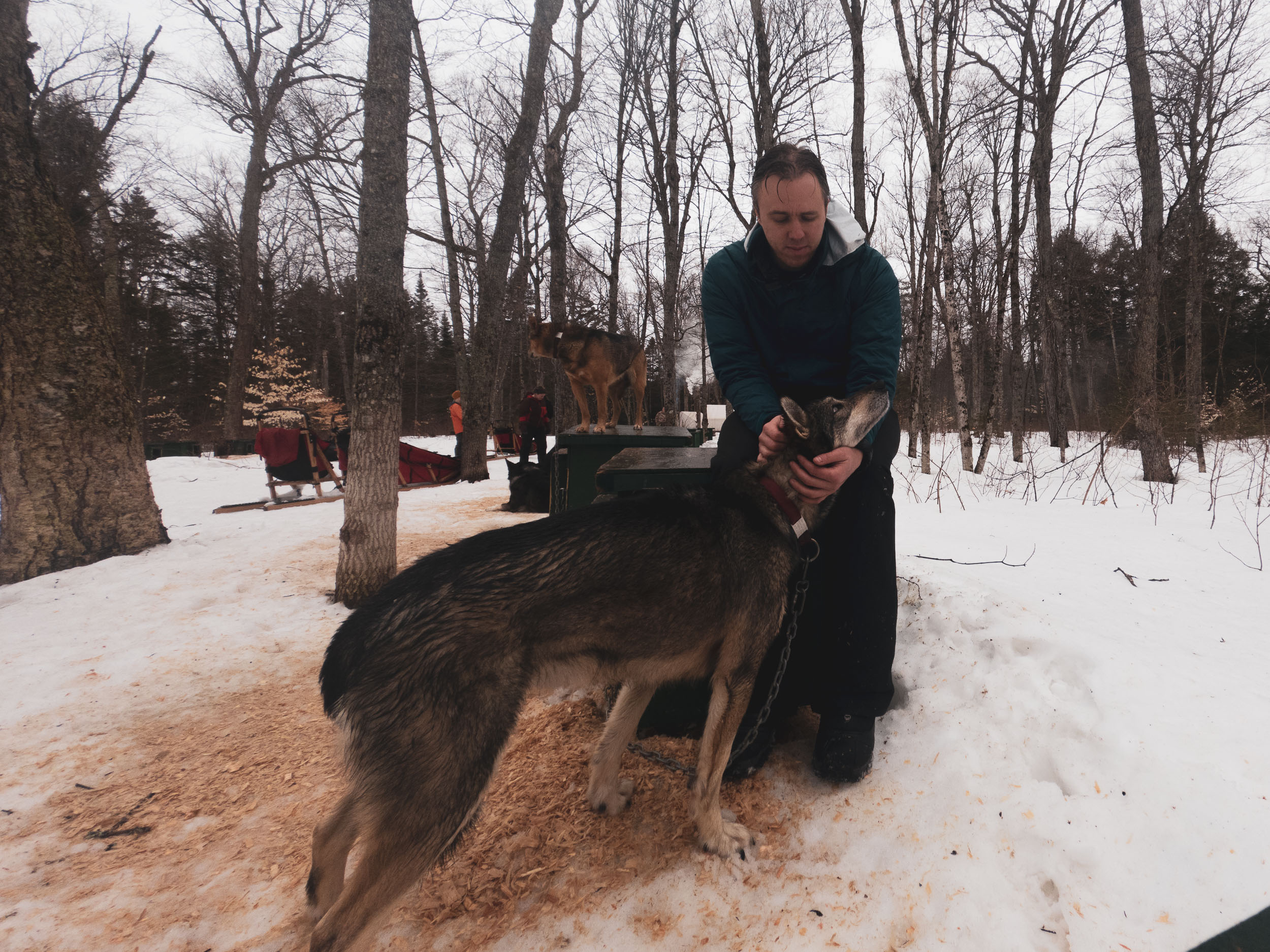 Learning to&nbspMush