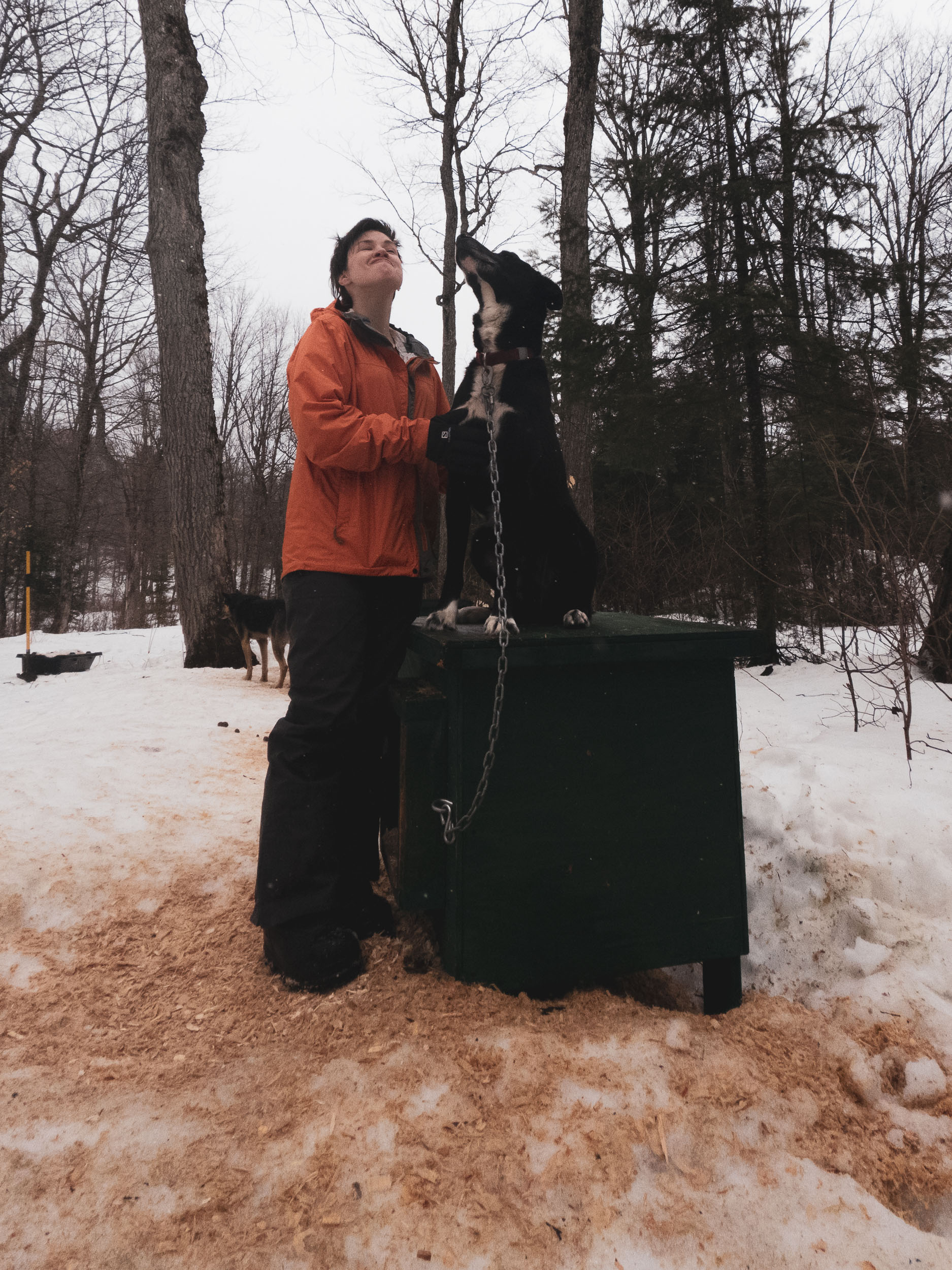 Learning to&nbspMush