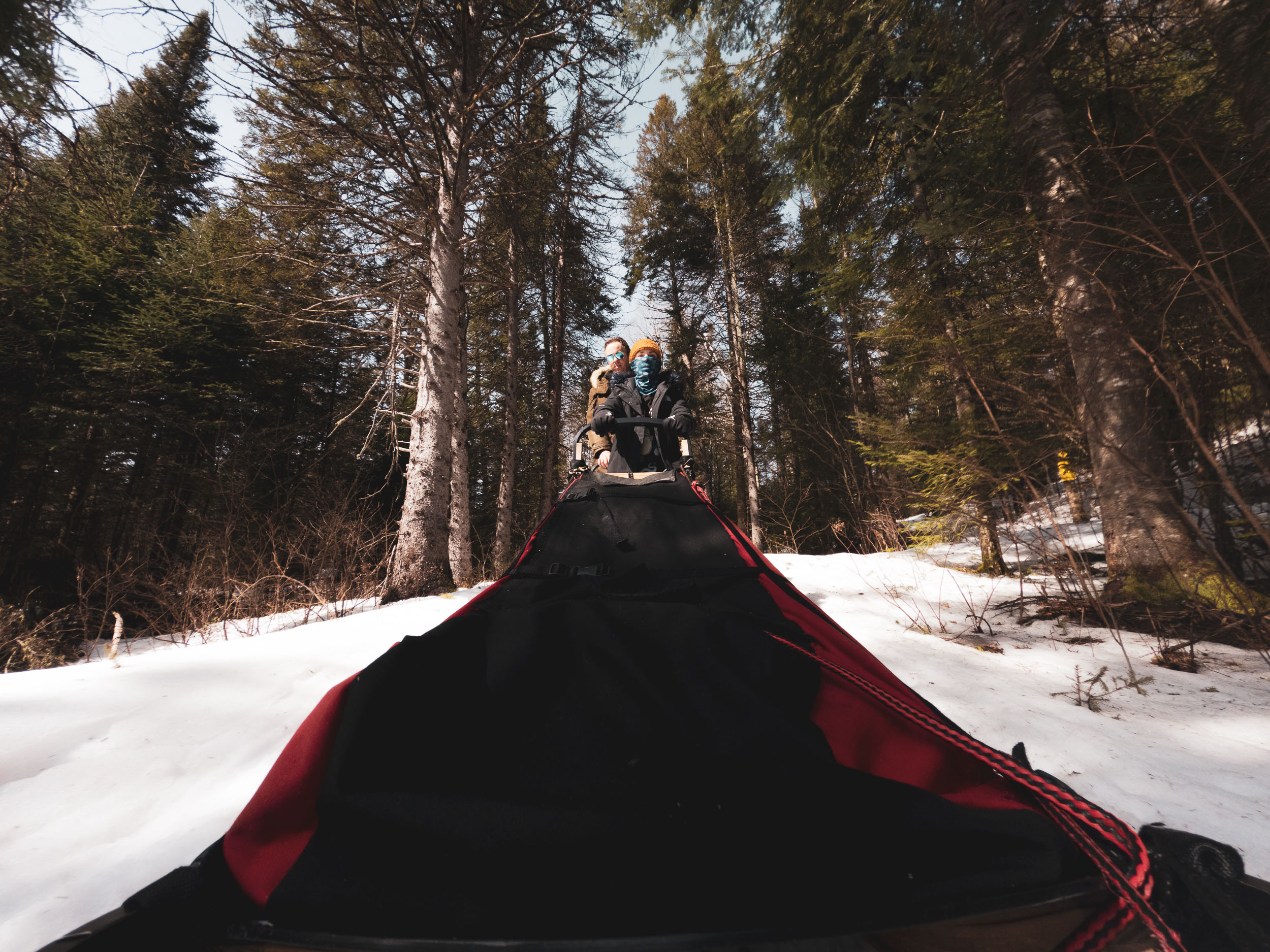 Learning to&nbspMush