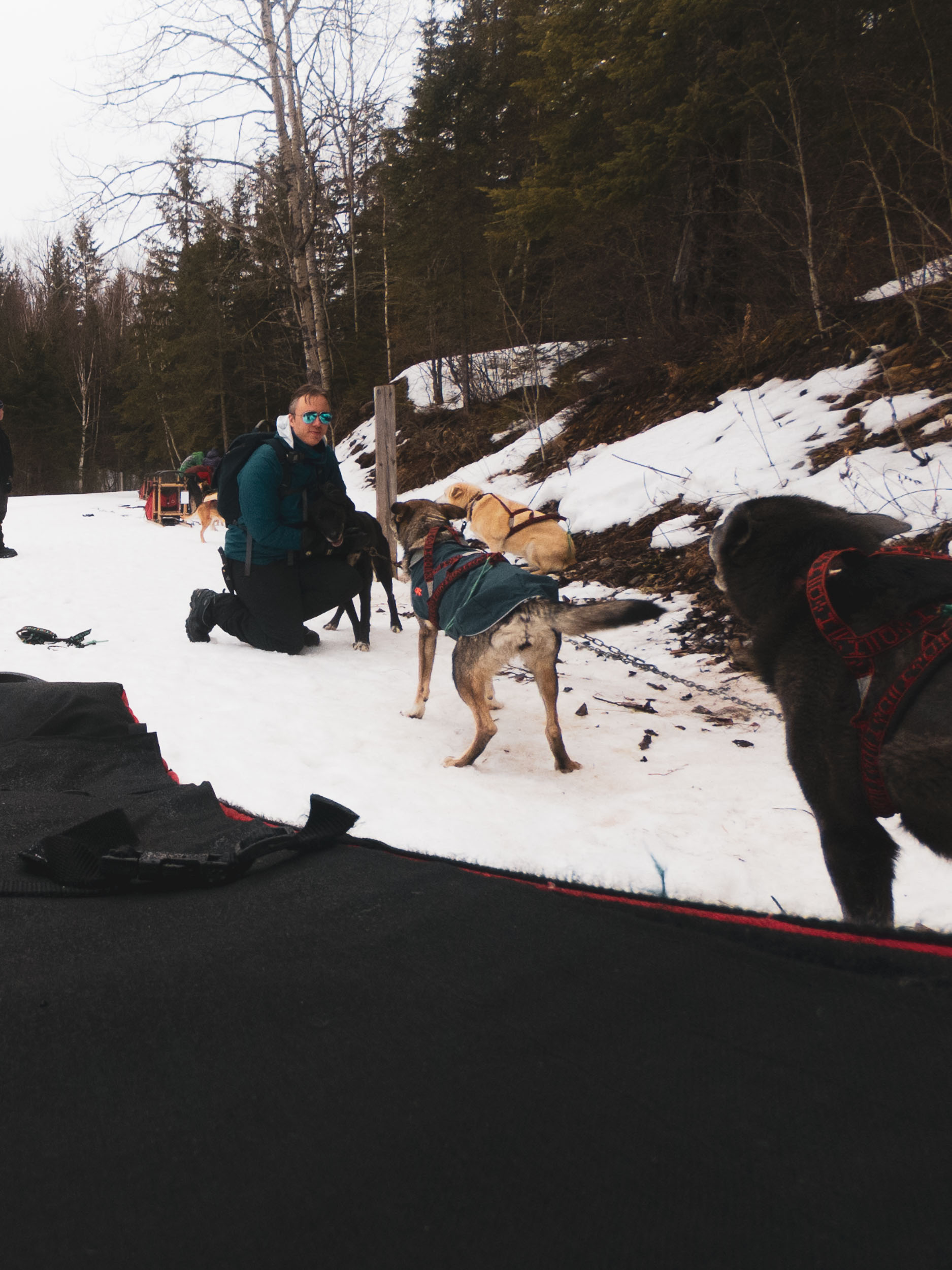 Learning to&nbspMush