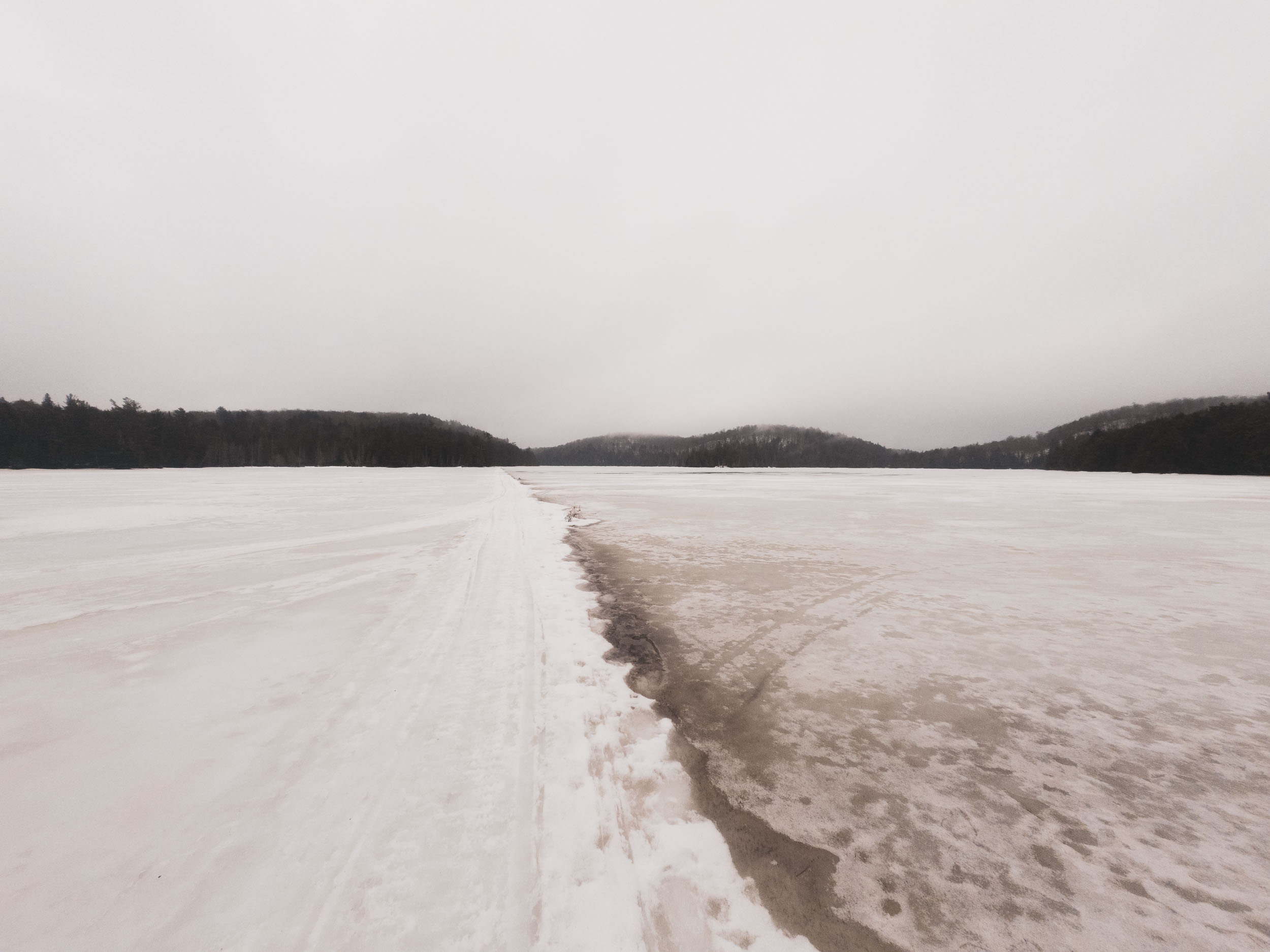 Learning to&nbspMush