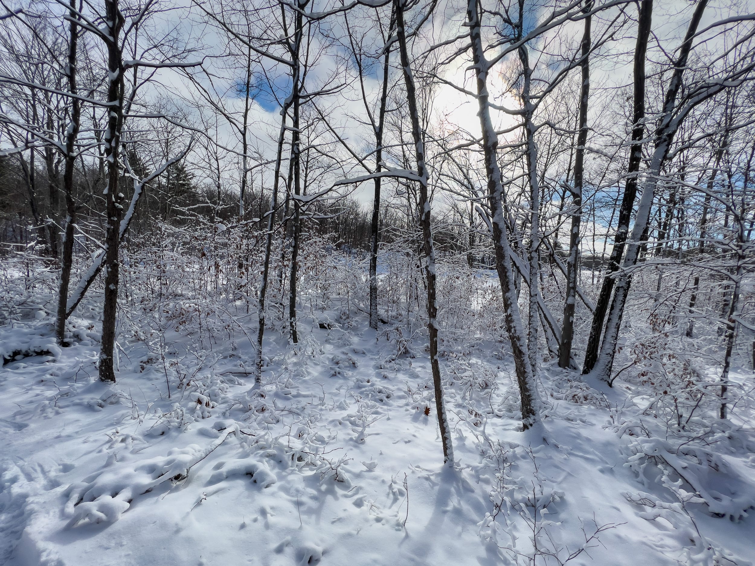 Frigid Fun at Arkon&nbspLake