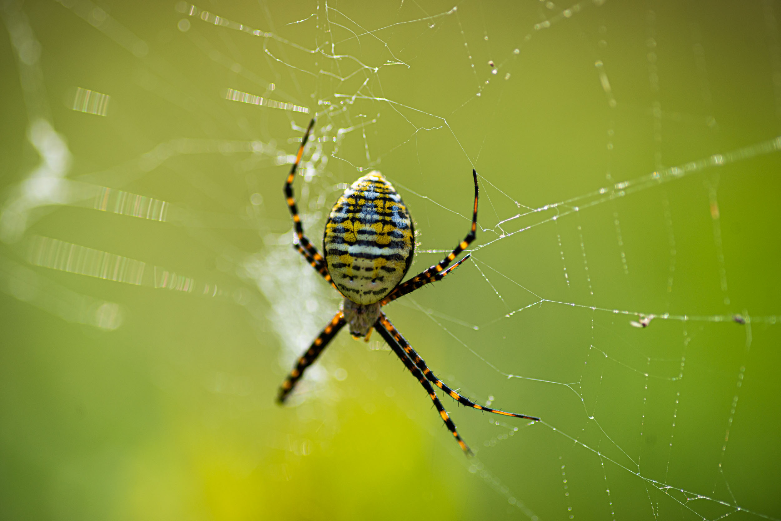 New Brunswick&nbsp2023