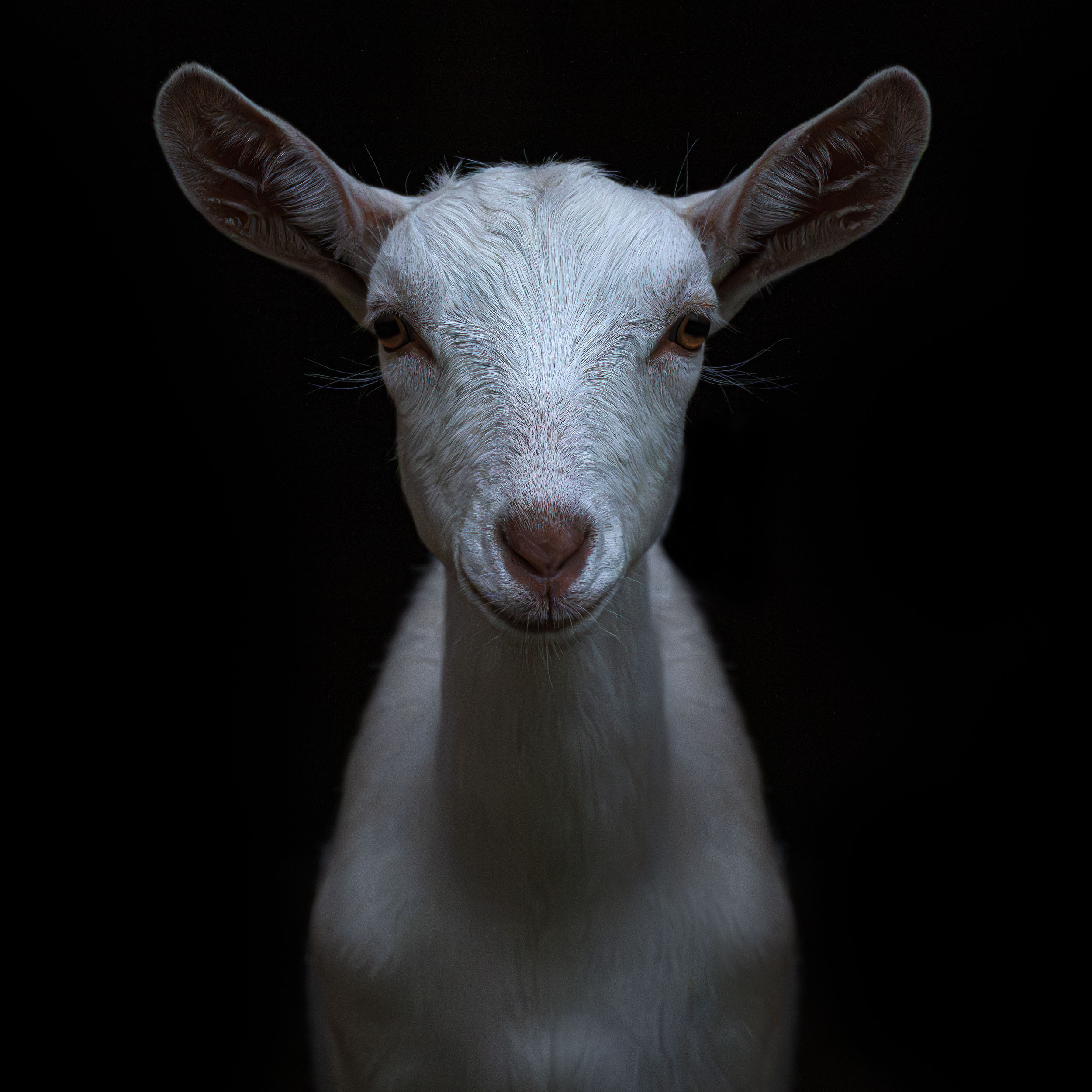 New Brunswick&nbsp2023