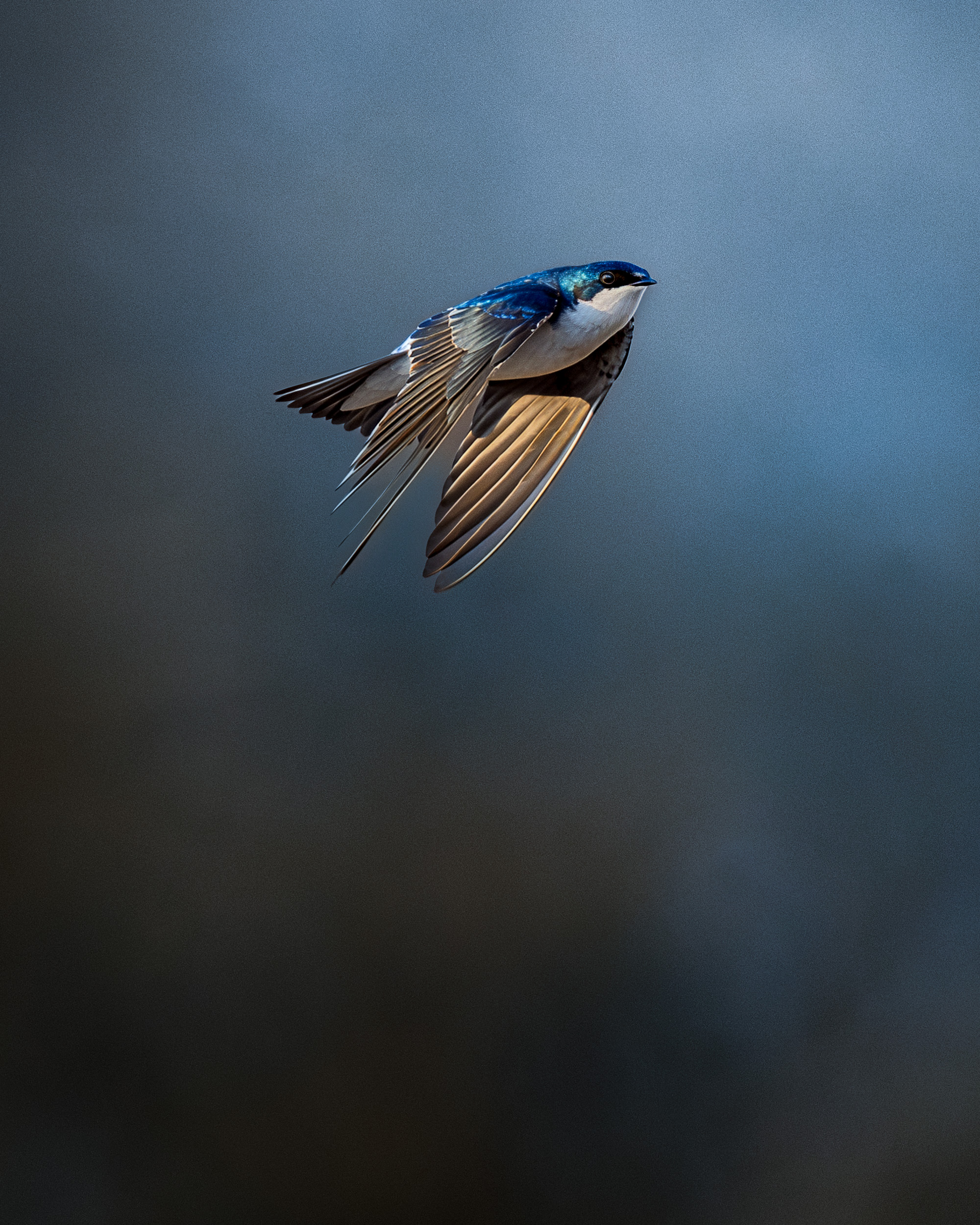 AI Sharpening Makes Budget Gear&nbspViable