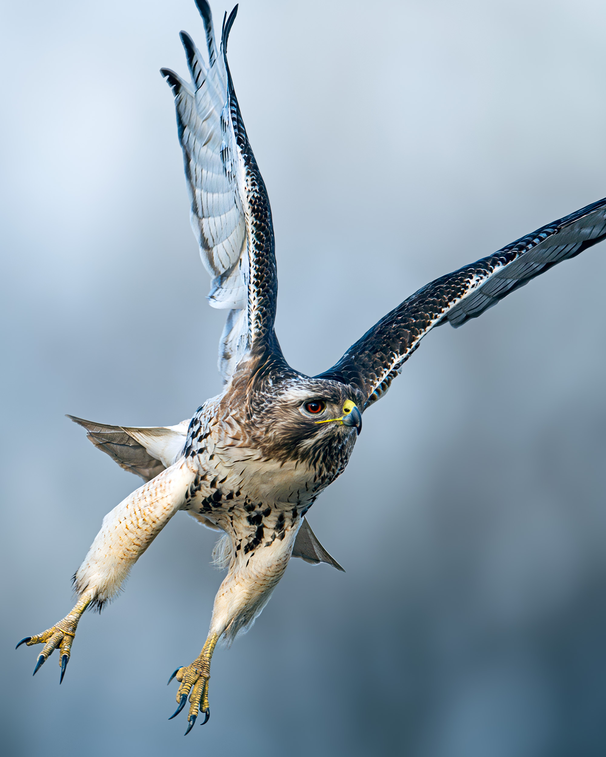 AI Sharpening Makes Budget Gear&nbspViable