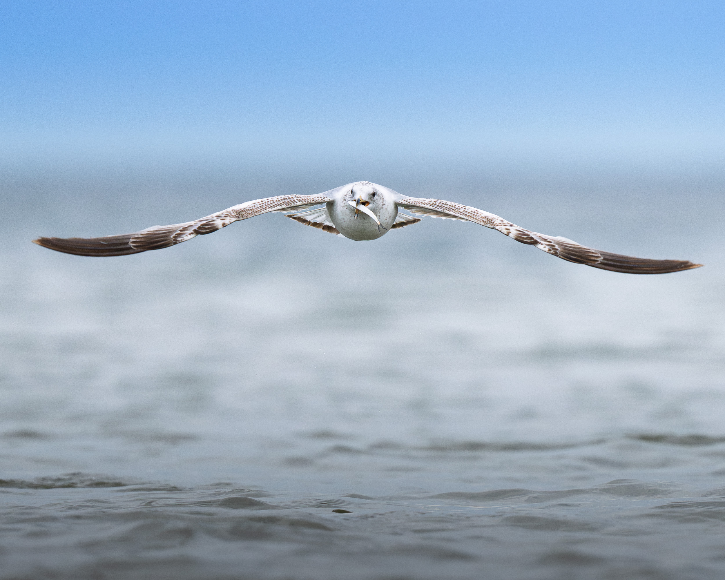 Wildlife Photography from a Kayak Is a Cheat&nbspCode