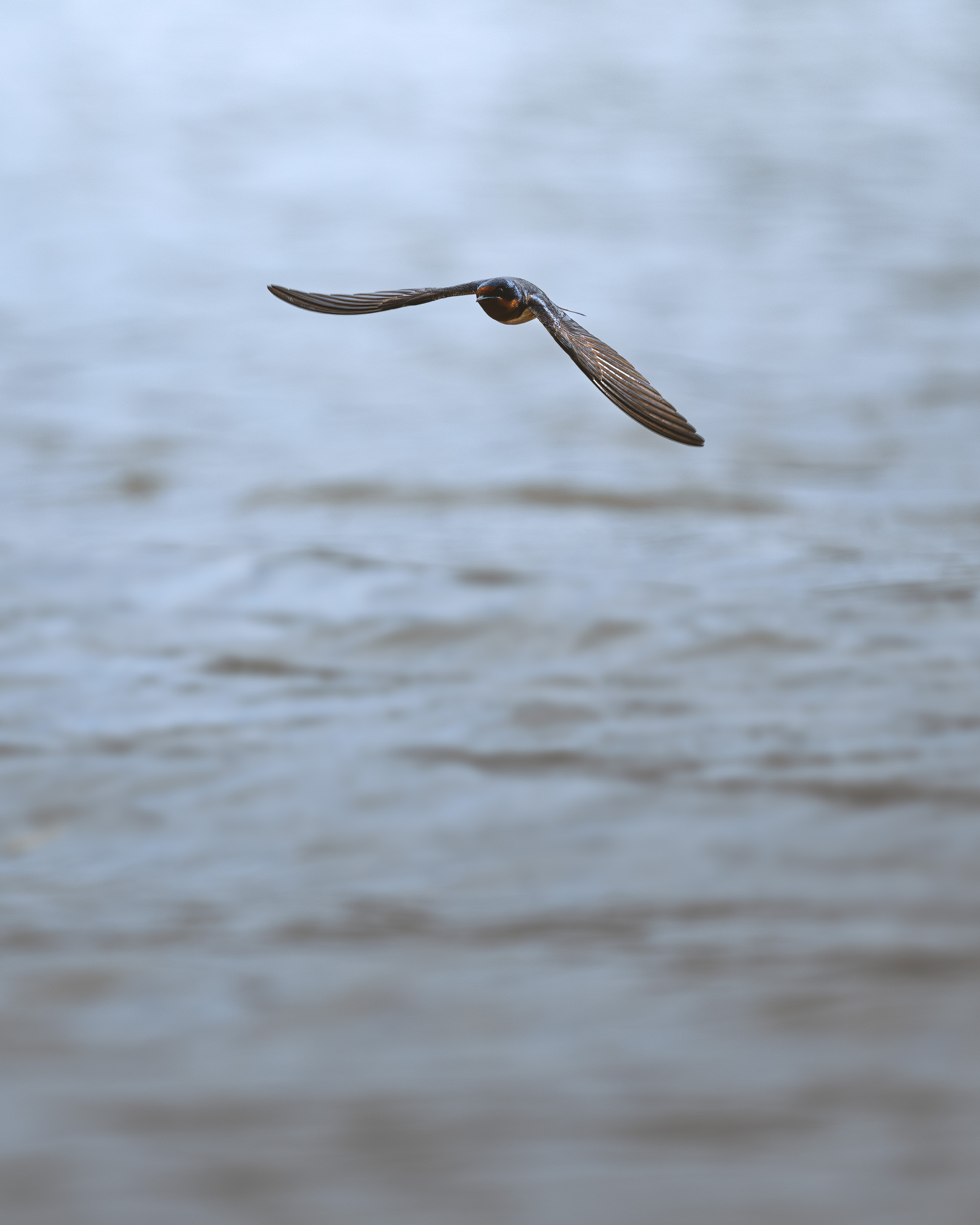 Wildlife Photography from a Kayak Is a Cheat&nbspCode